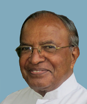 Rev. Fr Joseph Pathrapankal CMI (92)